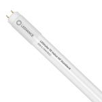 Ledvance LED Putki T8 Value (HF) Standard Output 8W 900lm - 865 Päivänvalo Valkoinen | 60cm - Korvaa 18W