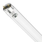 Philips T8 UV - C 17W - Ultravioletti | 60cm