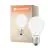 Ledvance Classic LED E27 Päärynä Filament Matta 7.5W 1055lm - 840 Kylmä Valkoinen | Korvaa 75W