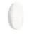 Philips LED Bulkhead CoreLine WL200V Valkoinen 30W 4050lm - 830-840 CCT | 400mm - IP65 - Dali Himmennettävä