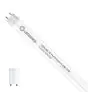 Ledvance LED Putki T8 Performance (EM/Mains) High Output 6.8W 1100lm - 840 Kylmä Valkoinen | 60cm - Korvaa 18W