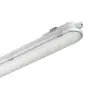 Philips LED Loisteputkivalaisimet Vedenkestävä CoreLine WT120C Gen2 57W 8000lm - 840 Kylmä Valkoinen | 150cm