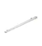 Philips LED Loisteputkivalaisimet Vedenkestävä Pacific WT475C 81W 10700lm - 840 Kylmä Valkoinen | 180cm - Dali Himmennettävä 