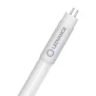 Ledvance LED Putki T5 AC Mains P Mains (AC) High Output 11W 1700lm - 865 Päivänvalo Valkoinen | 55cm - Korvaa 24W