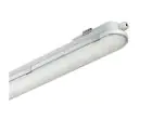 Philips LED Loisteputkivalaisimet Vedenkestävä CoreLine WT120C G2 45W 6000lm - 840 Kylmä Valkoinen | 150cm - Dali Himmennettävä