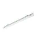 Philips LED Loisteputkivalaisimet Vedenkestävä Ledinaire WT065C 23/42W 2900/4800lm - 840 Kylmä Valkoinen | 120cm - Läpijohdotus
